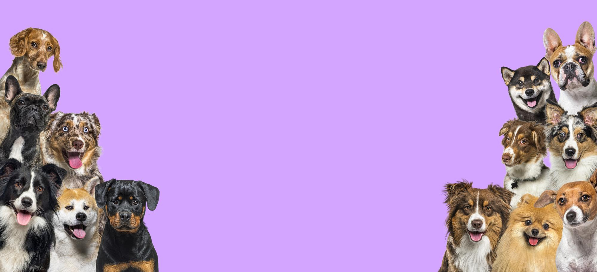 Únete a nuestra comunidad